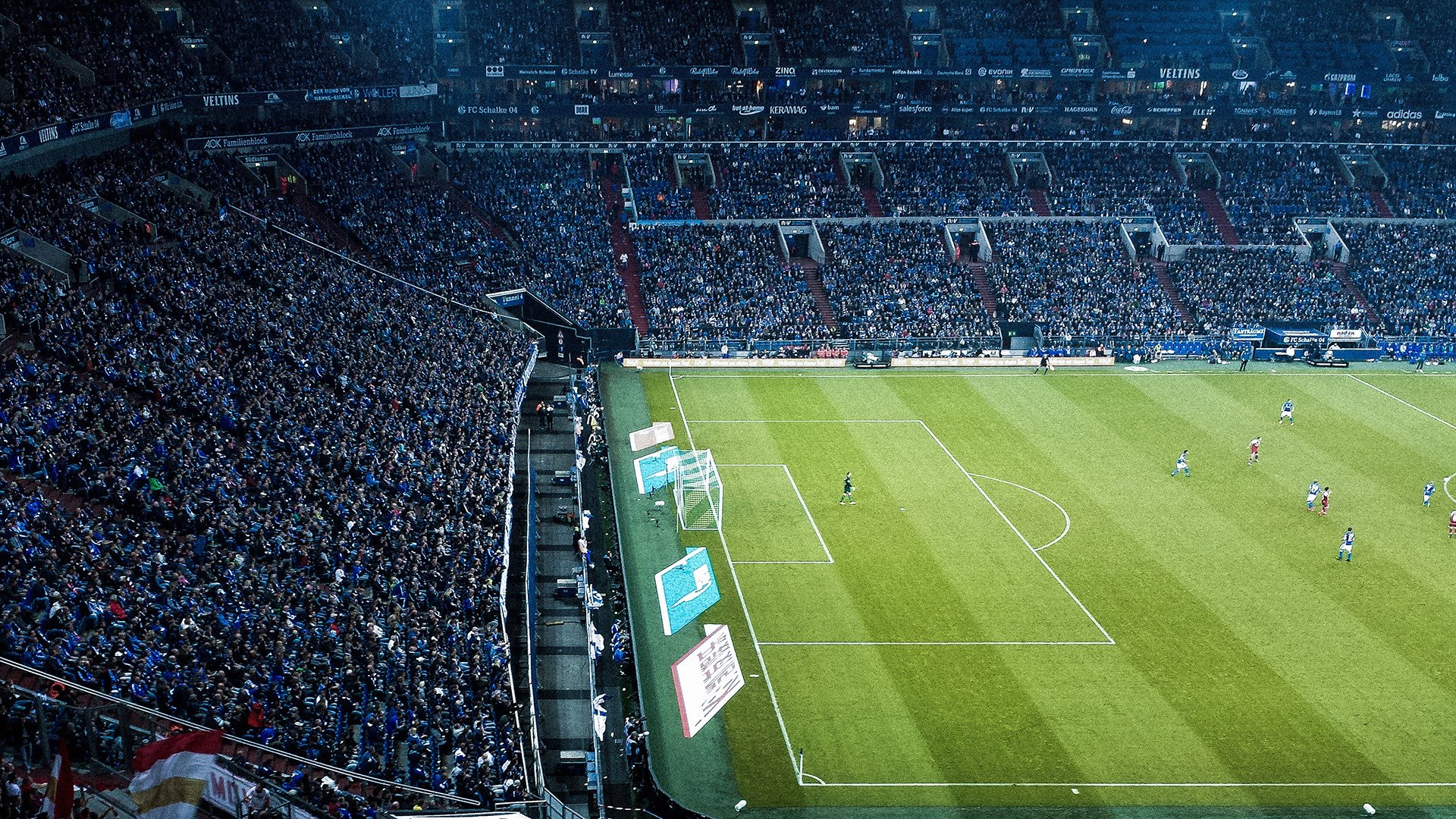 海洋生态潜水大赛，深海奇观尽收眼底，潜水海底世界海洋生物视频