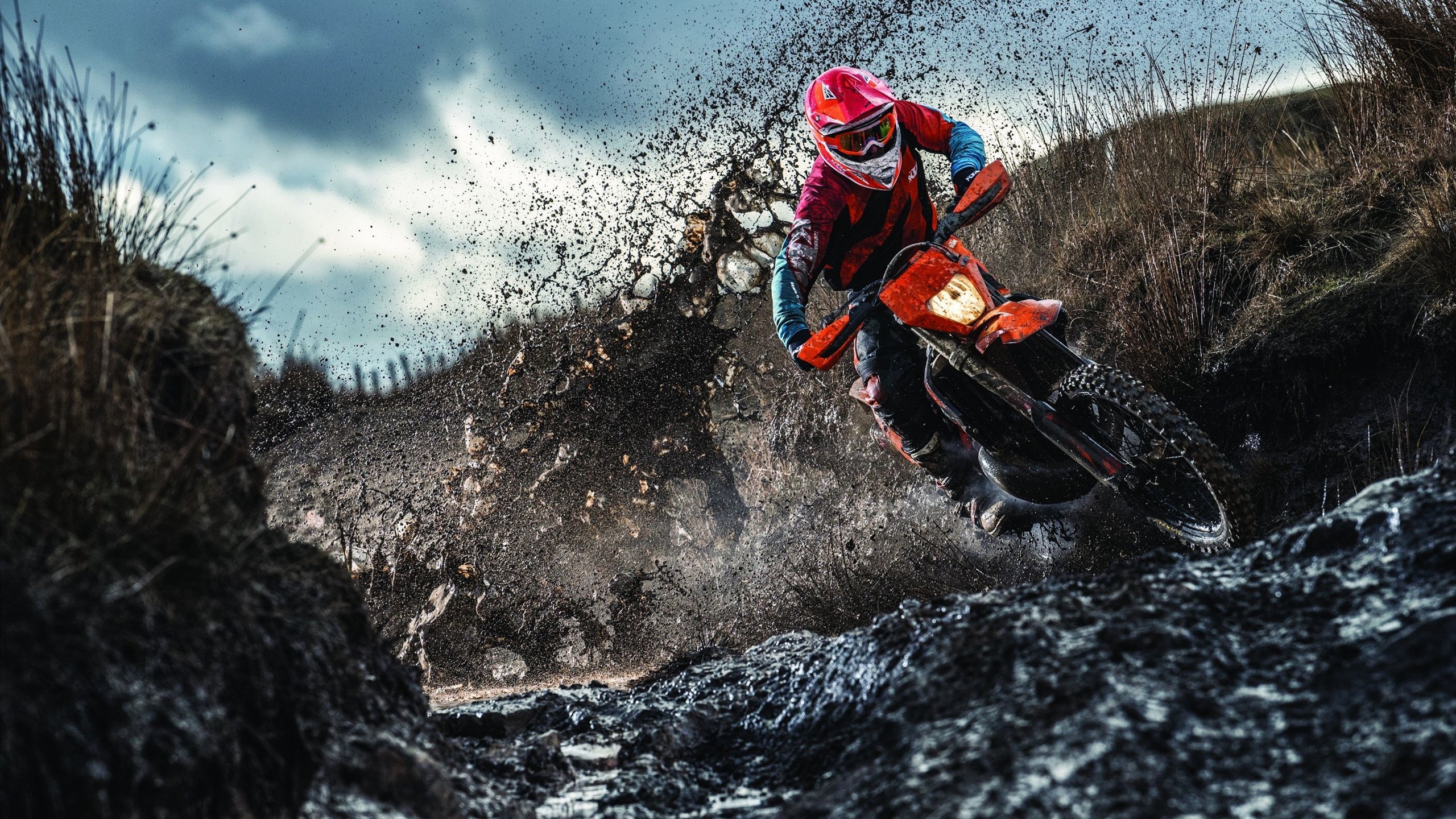 福建队新主场启用，球迷欢聚一堂迎盛事，福建篮球队主场